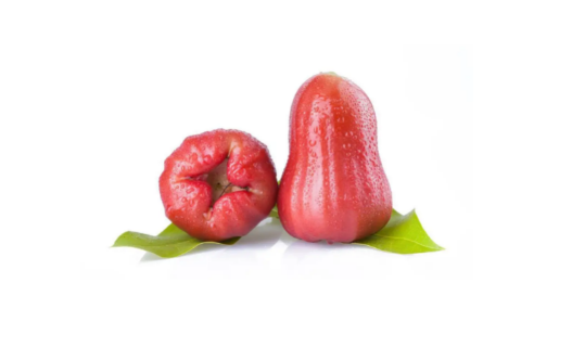 莲雾|莲雾可以用保鲜膜封起来吗