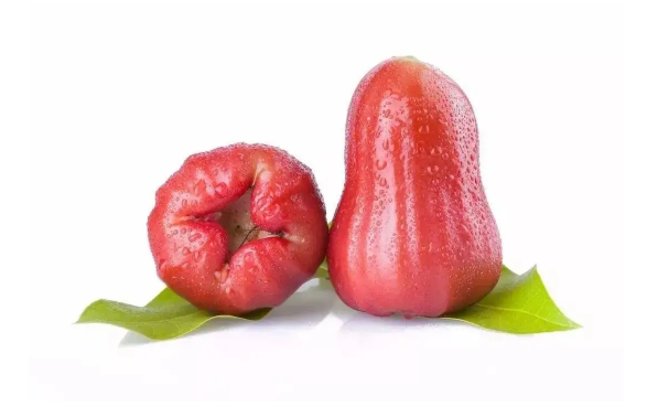 莲雾|莲雾生吃好还是熟吃好