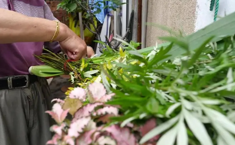 端午节|2022端午挂艾草挂一把行吗