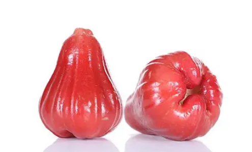 莲雾|莲雾放冰箱半个月还能吃吗