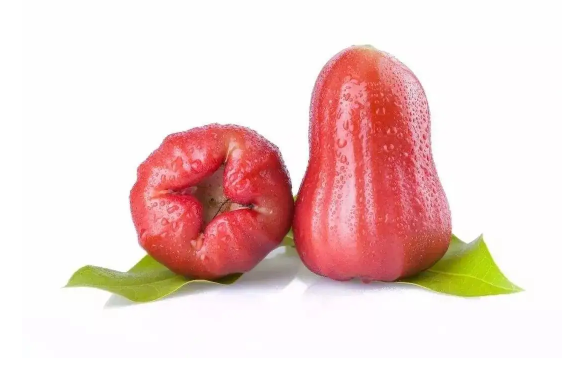 莲雾|莲雾底部能吃吗