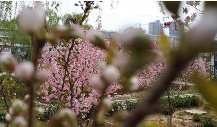 清明节|2022清明节去木兰草原露营晚上冷吗