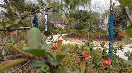清明节|2022清明节去木兰草原露营晚上冷吗