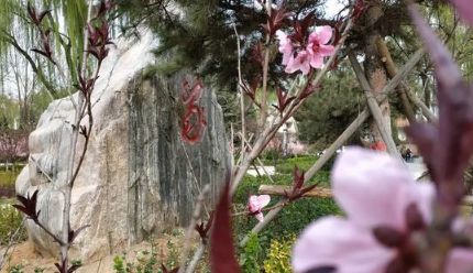 清明节|2022清明节去木兰草原露营晚上冷吗