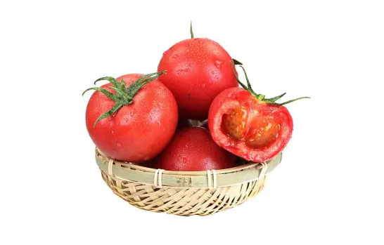 西红柿|普罗旺斯西红柿哪里的最正宗