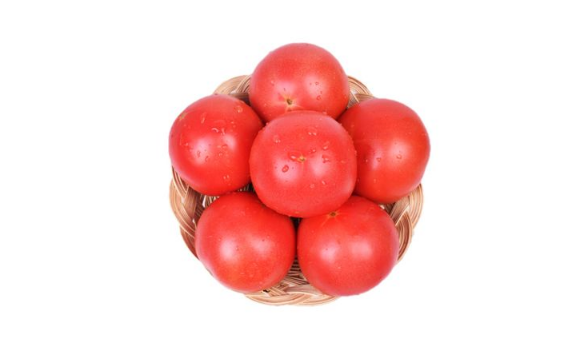 西红柿|普罗旺斯西红柿是转基因食品吗