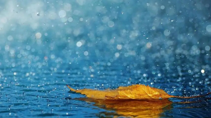 上海|2022年上海5月份雨水多吗