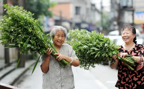 端午节|2022端午节门口挂艾草是倒挂还是正挂