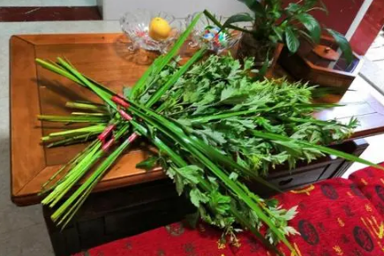 清明节|2022清明节当天插青好吗