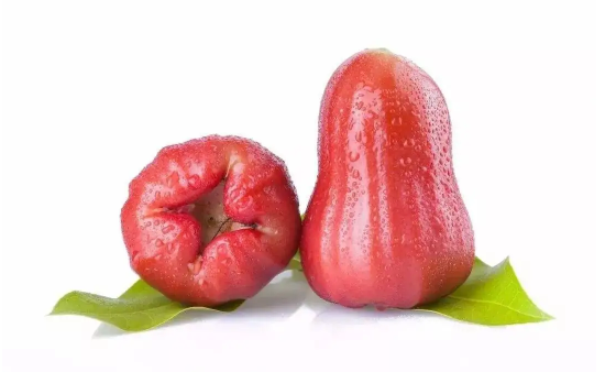 莲雾|莲雾可以补羊水吗
