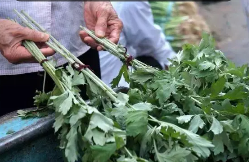 端午|2022端午挂的艾草和菖蒲什么时候可以用来洗澡