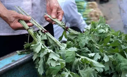 端午节|2022端午节挂艾草长的好还是短的