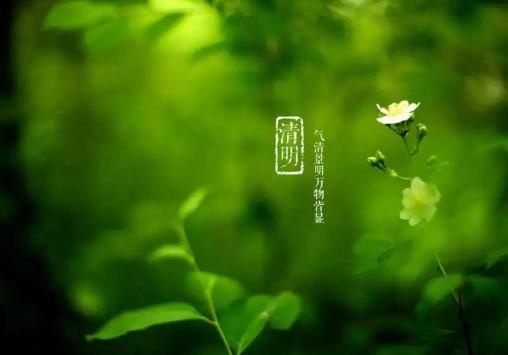 清明节|清明节上坟分单双日子吗