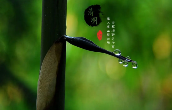 清明节|清明节上坟选日子是选阴历还是选阳历好