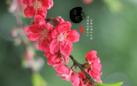 清明节|清明节上坟烧大香好还是小香好