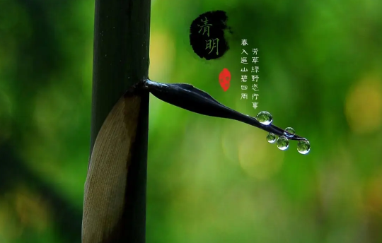 清明节|清明节上坟分男女吗