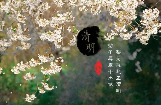 清明节|清明节上坟分男女吗