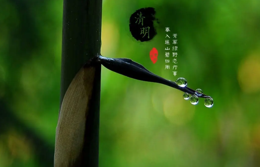 清明节|清明上坟可以单独上吗