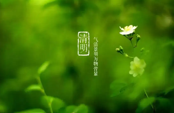 清明节|清明节上坟在哪边挖土
