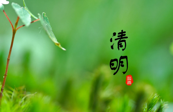 清明节|清明节上坟在哪边挖土