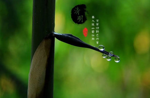 清明节|清明节上坟是先上老坟还是先上新坟