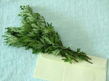 端午节|端午节挂艾草必须根部朝上吗