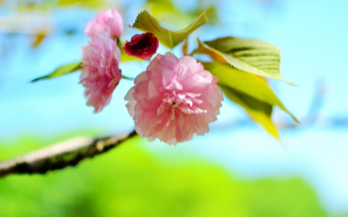 5月|2022年5月会比2021年5月热吗