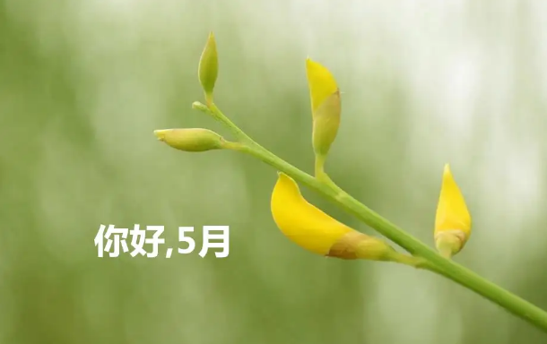 5月|2022年5月会比2021年5月热吗