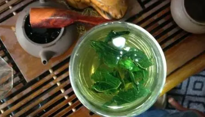 桑叶泡水|桑叶泡水喝有什么功效和作用