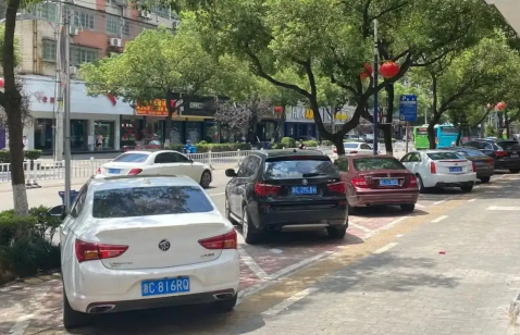 马路|马路边什么线可以停车