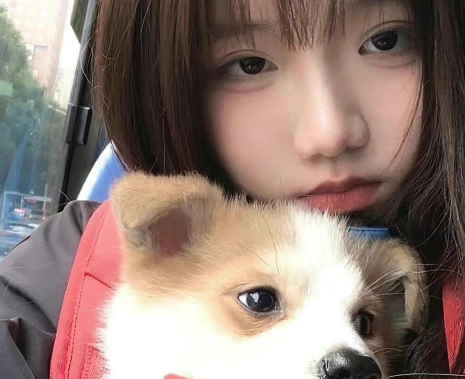 前任|如果想追回前任有什么好办法