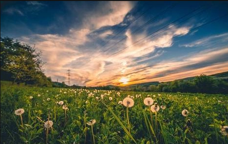 夏季|今年夏天要热到几月份2022