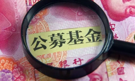 2022|2022年买基金的是不是全亏本