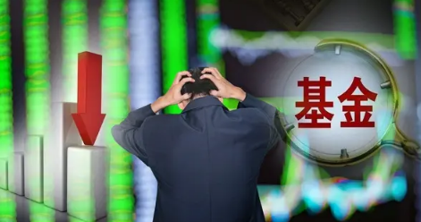 女人|炒基金的女人聪明吗