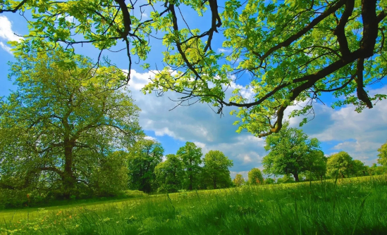 6月|2022年6月有法定节假日吗