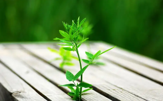 6月|2022年6月有多少个工作日