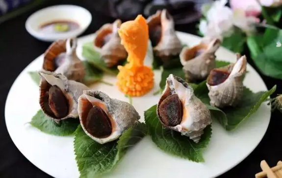 海螺|蒸海螺的最佳时间是多少分钟