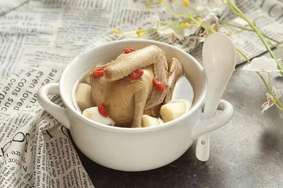 鸽子|鸽子和什么一起炖汤最有营养