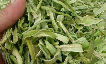 贡菜|贡菜是不是莴笋
