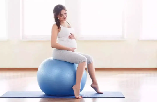 兔|为啥大家都要在2023年生女兔宝宝