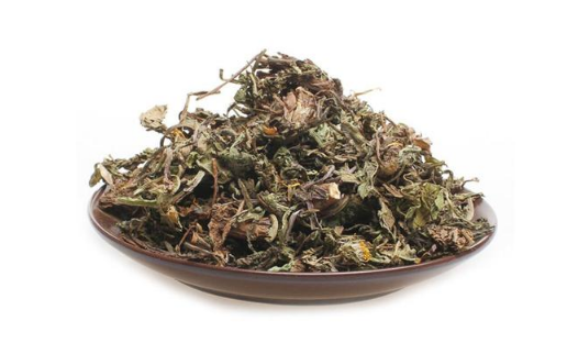 蒲公英|蒲公英蒸熟后晒干影响药效吗