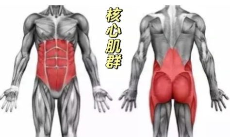 腹部|怎么找腹部收紧感觉