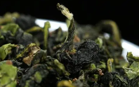 铁观音|铁观音是红茶还是绿茶