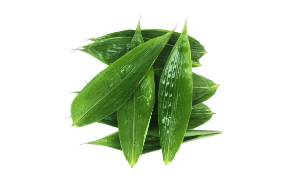 粽叶|粽叶煮出来很绿有问题吗