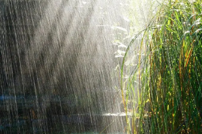 夏至|2022夏至下雨好还是天晴好