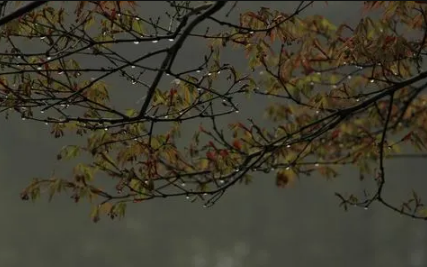 夏至|2022夏至下雨好还是天晴好