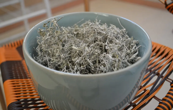 莓茶|莓茶上的白霜能一起泡水喝可以吗