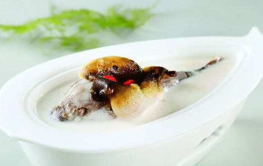 河豚|吃河豚会不会中毒