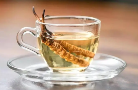 虫草泡水|虫草泡水有什么功效