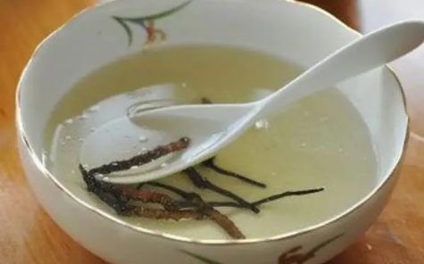 虫草泡水|虫草泡水有什么功效
